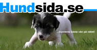 Hundsida.se